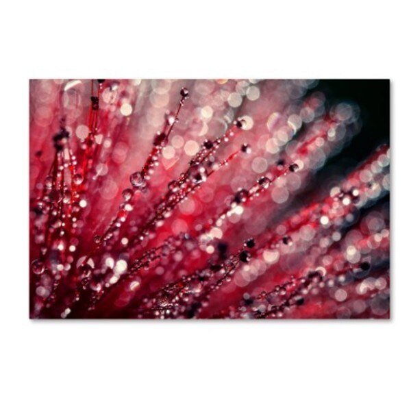 Beata Czyzowska Young 'Sonata in Red' Canvas Art, 22x32, Trademark Fine Art, Mfr#: BC0275-C2232GG